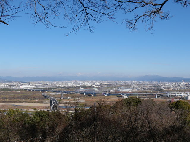 �f���炵���i�ςł���_�j�R�W�]��