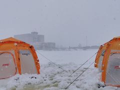 Ђ炿񂳂̃o[gbvkCւ̓eʐ^1