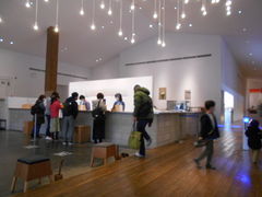 gV[̃ANACOjXЉւ̓eʐ^1