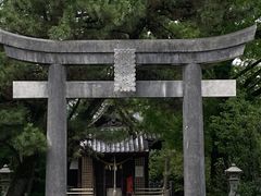 �E�b�L�[����̔���{�ւ̓��e�ʐ^1