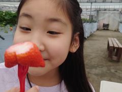 }}̕ct@[@x[ւ̓eʐ^1