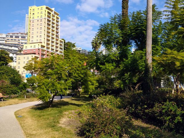 �W���J�����__�W���J�����_