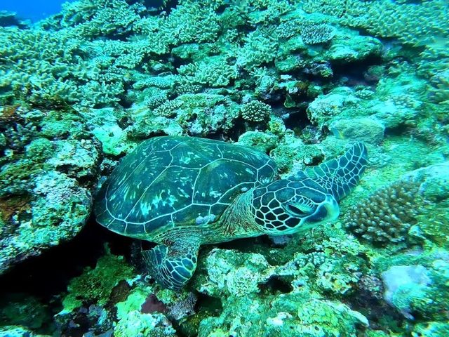 �X���X��zzz_SHISHI�Ί_��