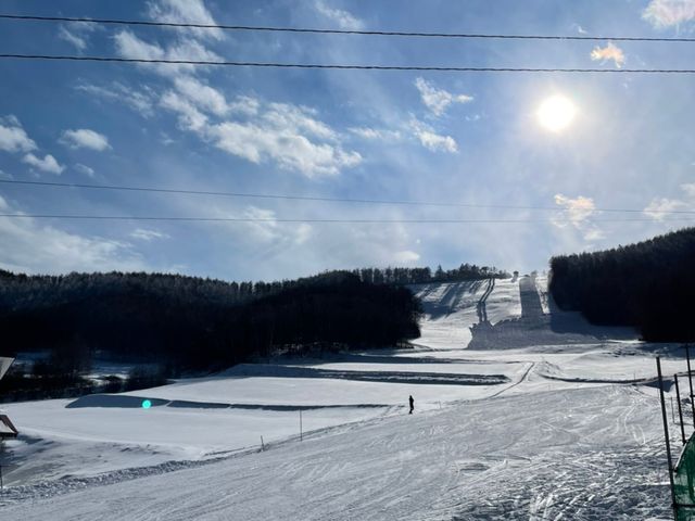 �Q�����f�͍L������₷��_�M�B���������p�C���r�[�N�X�L�[��