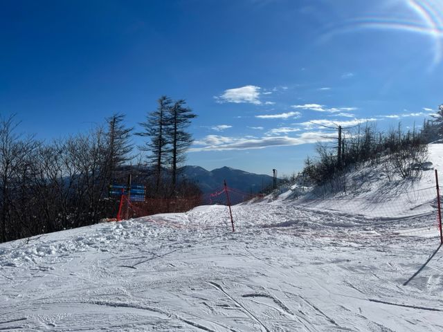 �V�C�Ɍb�܂ꐰ�V�̒������I_�M�B���������p�C���r�[�N�X�L�[��