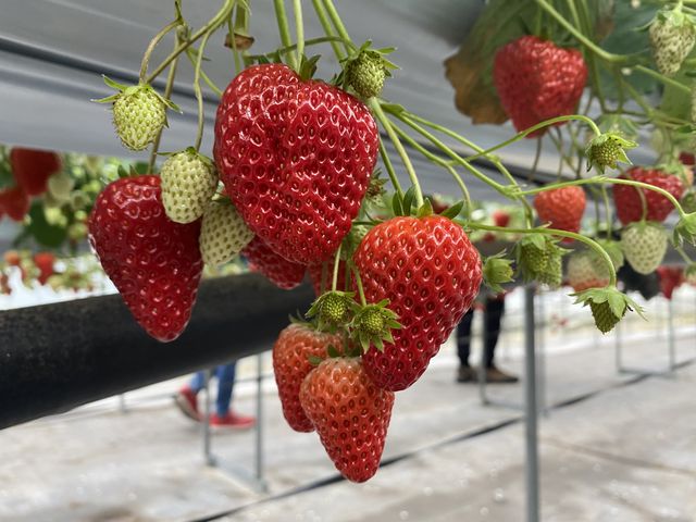 �^���ԂȂ���������������I_�n糂�������