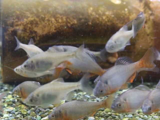 ����ł͐�ł����^�i�S_����s���������������Z���^�[