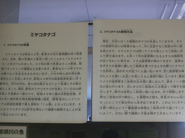 �^�i�S�̐�����_����s���������������Z���^�[