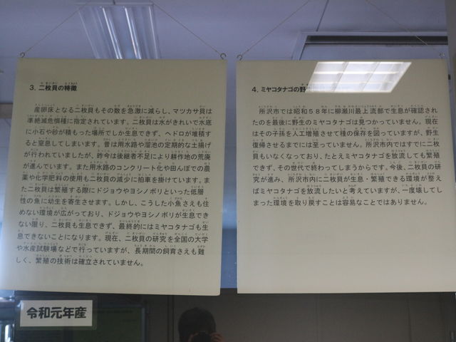 �^�i�S�̐�����_����s���������������Z���^�[