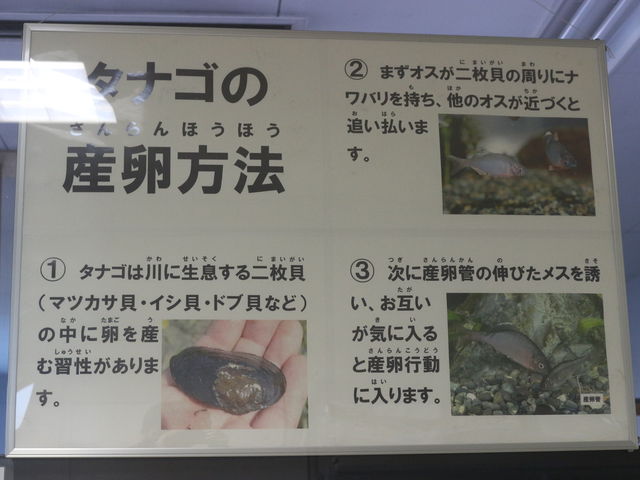 �Y�����@�̐����@�L�ɗ����Y�ނ����ł�_����s���������������Z���^�[