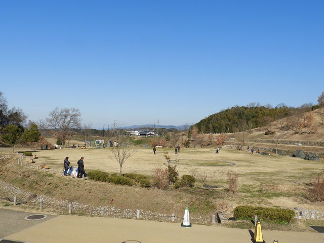 �Õ�����̏W�����C���[�W�ł���_���c�򒹗��j�����L�g���Õ����Ӓn��