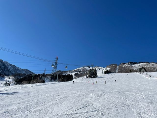 �Q�����f�͍L������₷��_�c��X�L�[��