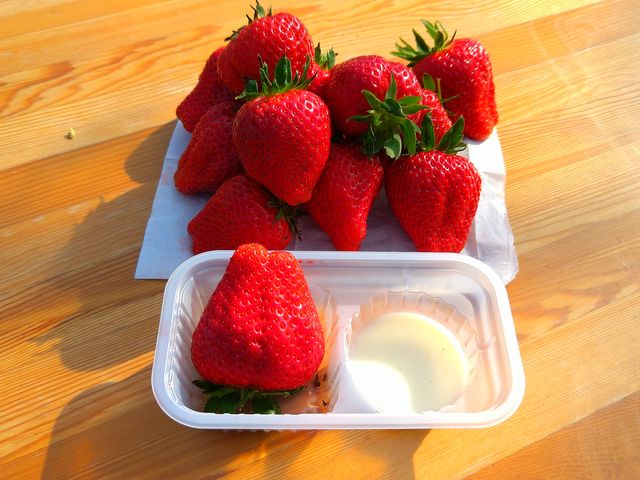 �߂��Ⴍ����f�J���܂Ƃ����Ƃ߁I������Ήʏ`���H�藎����I_���E�t���[�Y