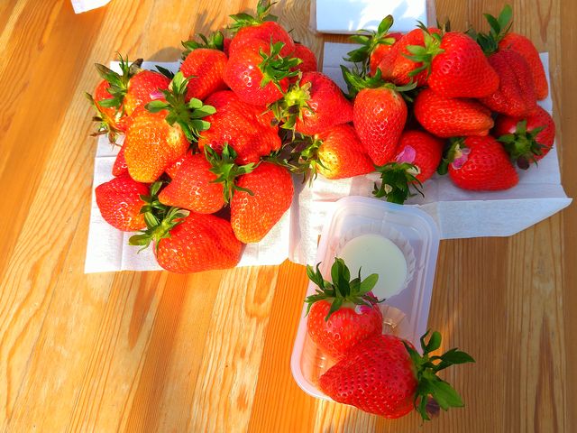 �Ƃ����Ƃ߂ɕ�������炸�ȃr�b�O�Ȃ�悢�Ђ߁I
�H�ו���ł͒������i��B��������������܂��I_���E�t���[�Y