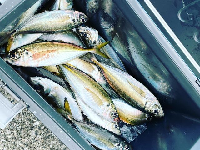 �����ނ����A�W_��D�[��