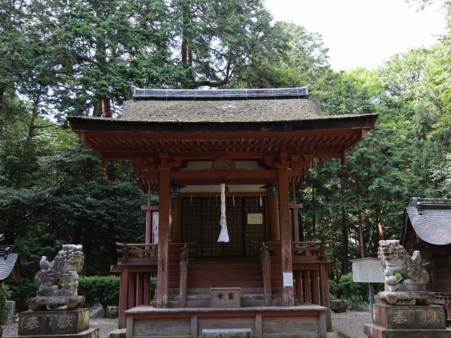 ���{�a�B_�c���_��