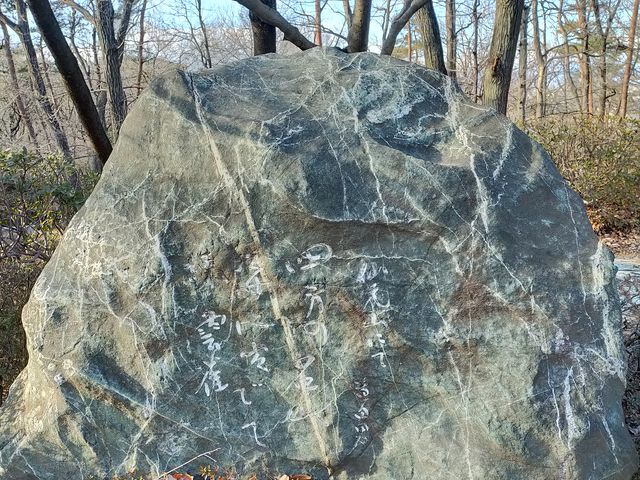 �������c�j�̋��_�[�J�r�b�O�^�[�g��