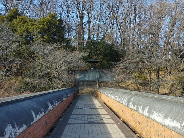 �匳�R�ւ̘A����_�[�J�r�b�O�^�[�g��