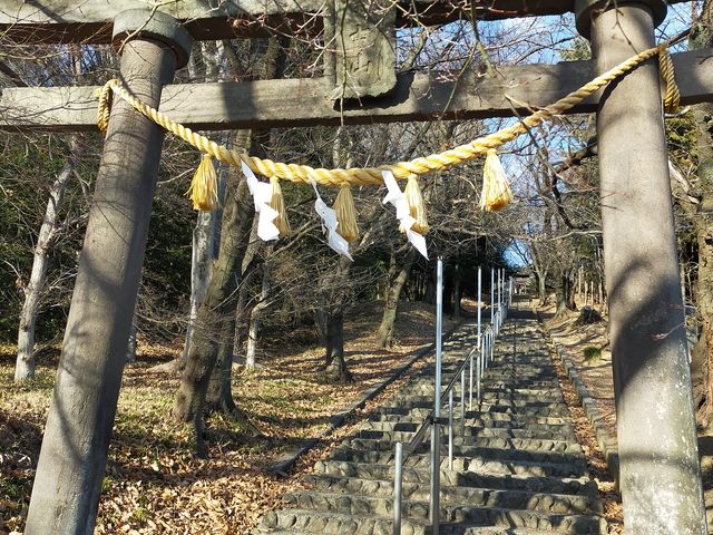 �[�J�y�m�R��Ԑ_�Ј�̒���_�[�J�r�b�O�^�[�g��