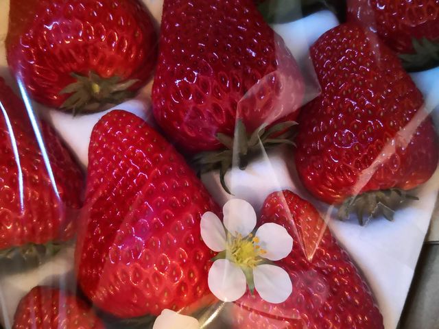 �C�`�S�����ł͂Ȃ��A���Ԃ��ꏏ���ăX�e�L�ł��B_������������