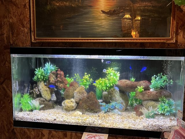 Ȃ̓SĂXe[LnEXjam̓eʐ^1