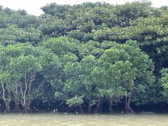 [񂳂OHCUSΊ_ւ̓eʐ^1