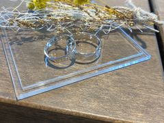 ����Ԃ���̃A�J�l�X�@�����ւ̓��e�ʐ^1