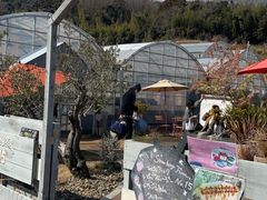 ݂Strawberry Farm No.15 ithe Farm UNIVERSAL jւ̓eʐ^1