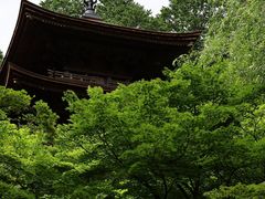 Yanwenli̋֎@Odւ̓eʐ^1