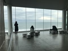 }T񂳂SEA BiRDS CAFEiV[o[YJtFjւ̓eʐ^1