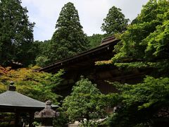 Yanwenli̋֎@{ւ̓eʐ^2