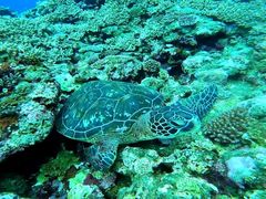 akkoSHISHIΊ_ւ̓eʐ^1