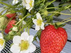 l񂳂̂񂿂ނւ̓eʐ^2