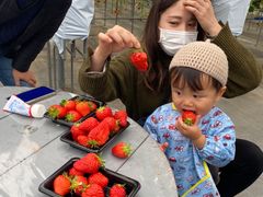 񂳂joumonfarmi傤ӂ[ށjւ̓eʐ^2