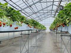 TbĴ䂤䂤_ւ̓eʐ^1