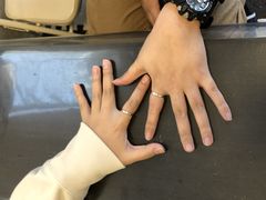 yuuatelier fineւ̓eʐ^1