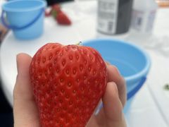 ͂邳̂͂Ȃt@[ւ̓eʐ^2