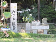 �������̔ʎ᎛�i�R�����������j�̓��e�ʐ^2