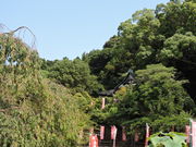 �������̔ʎ᎛�i�R�����������j�̓��e�ʐ^3