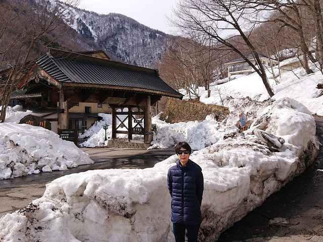 h̎͂ɂ͂܂1m߂̐ႪcĂ_쉷@t