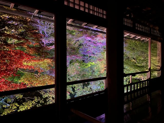 ��Ԃ̓��ʔq�ρB�ƂĂ��Y��ł����B
���l�i�͍��������ł����A�s�������l������܂����B_�ڗ����@