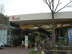 �G�M���K�[�P�Q������̓��q�t���b�V���p�[�N�����ւ̓��e�ʐ^1