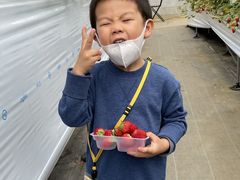 񂱂̂_sAbc@ւ̓eʐ^1