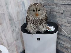 ̂ρ[@tNEJtFr܂ւ̓eʐ^1