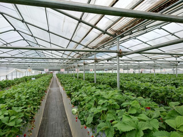 �r�j�[���n�E�X��_�͂�Ȃt�@�[��