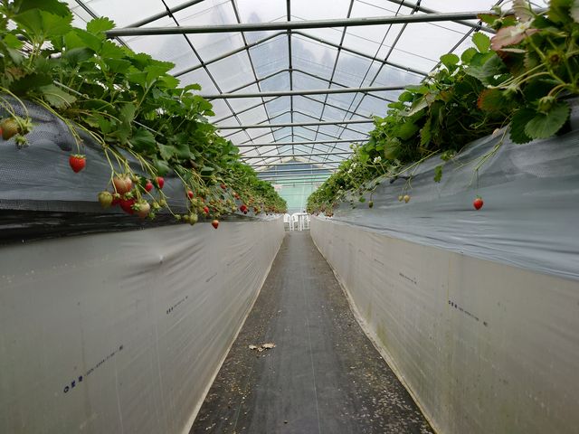 �r�j�[���n�E�X��_�͂�Ȃt�@�[��