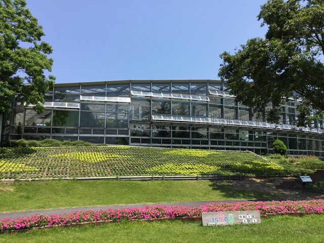 ���܂ˉԂ̋�_���܂ˉԂ̋�