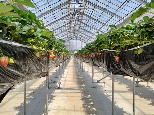 ƕGKvȏɋȂȂĂ悢ByIȂBN[B_R삢