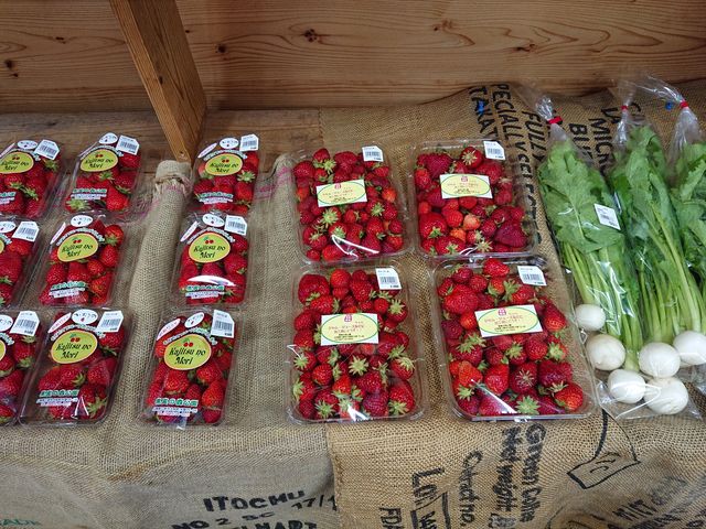 Os@̉w 悪񂷔_̉w 悪񂷔