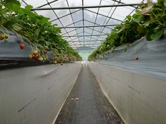 ₷̂͂Ȃt@[ւ̓eʐ^4